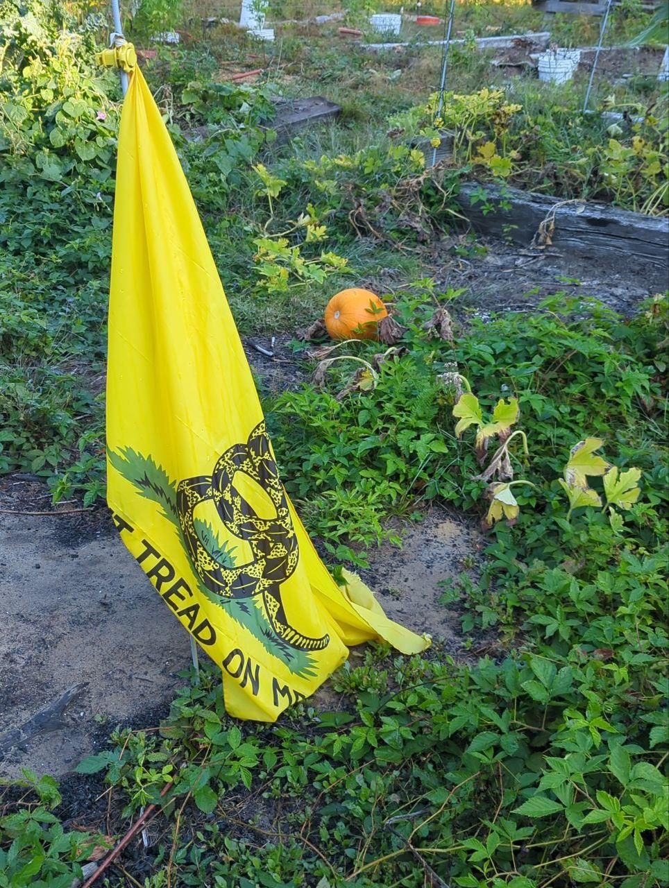 dont tread on me flag in the garden at Bartertowne, Canaan New Hampshire