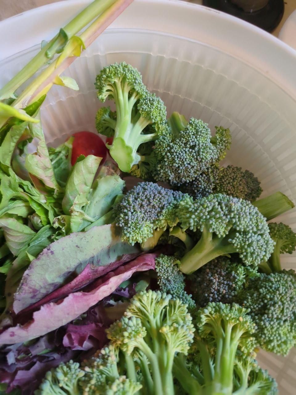 fresh picked broccoli and greens at Bartertowne, Canaan New Hampshire