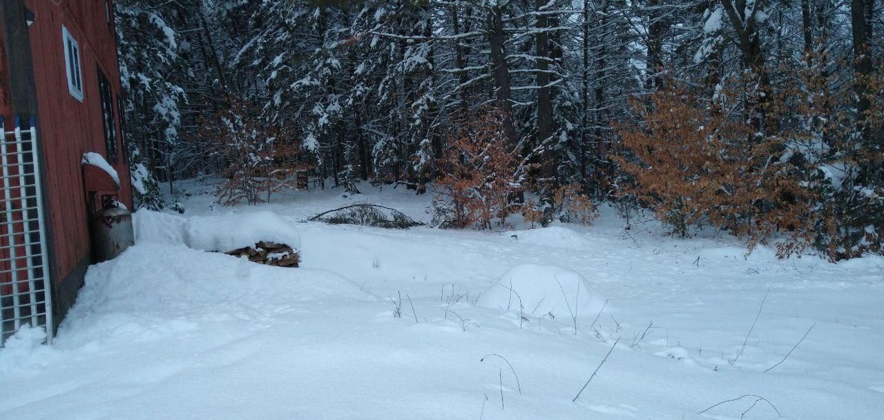 fresh snow blanketing the camp treeline at Bartertowne, Canaan New Hampshire