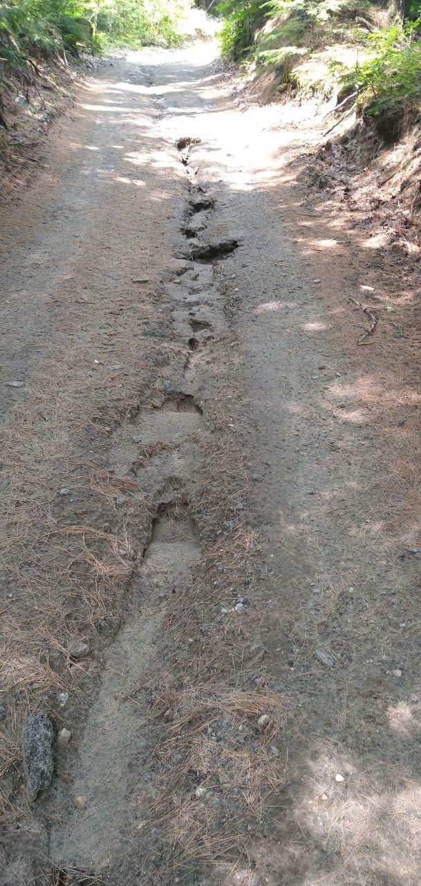 dirt camp road eroded by spring runoff at Bartertowne, Canaan New Hampshire