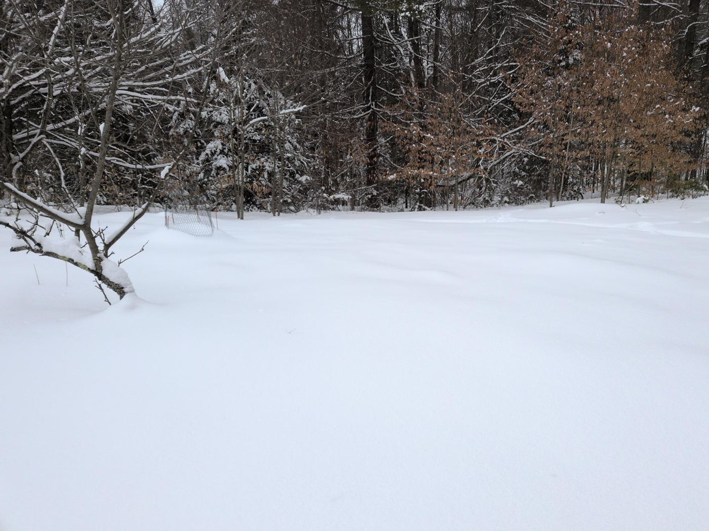 open snowfield at the edge of camp at Bartertowne, Canaan New Hampshire