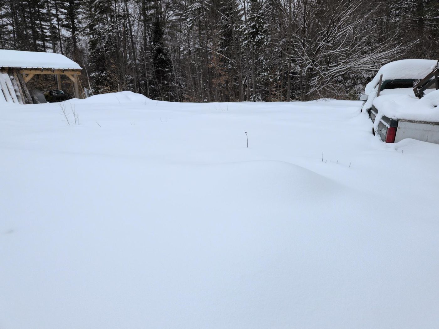 quiet snow covered forest floor at Bartertowne, Canaan New Hampshire