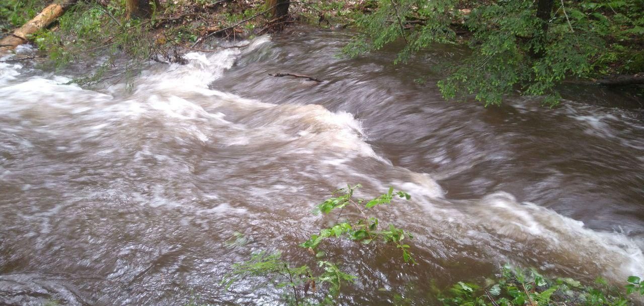 rushing spring brook through the woods at Bartertowne, Canaan New Hampshire
