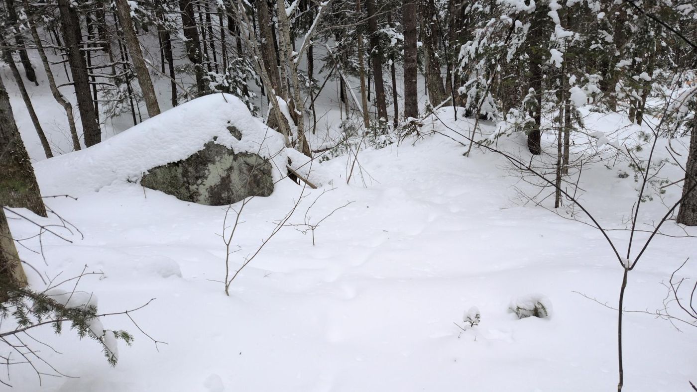 snow covered boulders in the forest at Bartertowne, Canaan New Hampshire