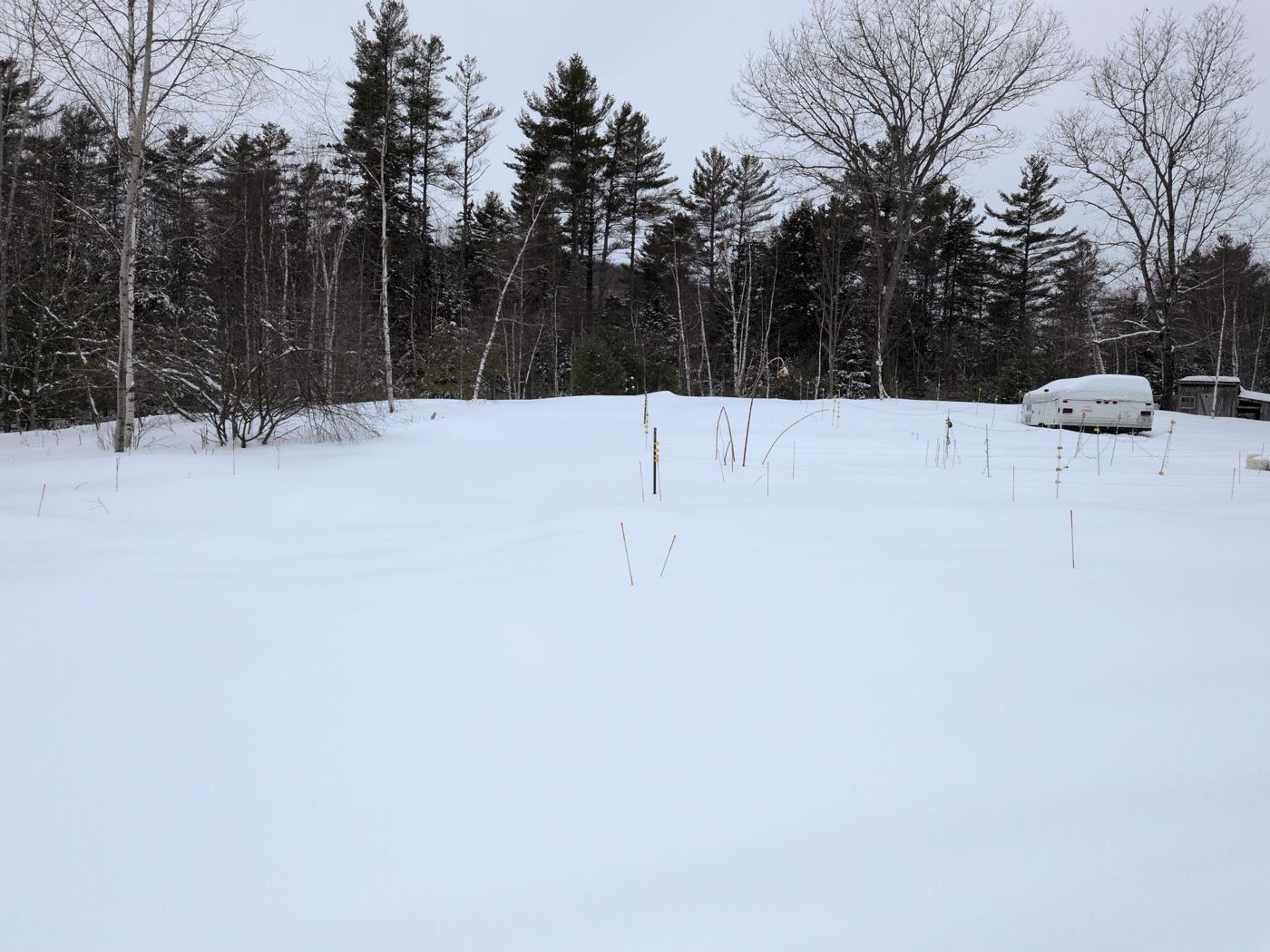 wide winter meadow at the camp edge at Bartertowne, Canaan New Hampshire