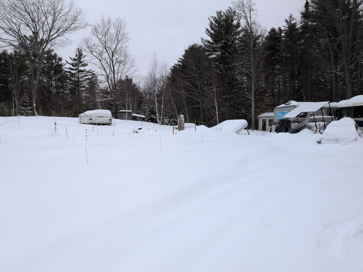 yellow trail marker along snowy road at Bartertowne, Canaan New Hampshire